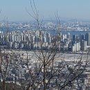 뽀드독 이미지