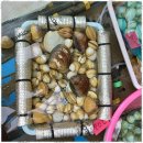 바닷길 풍경 이미지