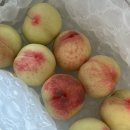 고대1104 이미지