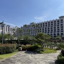 중문통나무가족호텔 | 내돈내산 롯데호텔 제주, 제주호캉스 추천 해온 수영장, 중문색달, 부대시설 등 후기