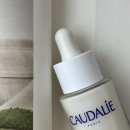 포도나무약국 | 내돈내산 고인물 후기: Caudalie 꼬달리 비노퍼펙트 화이트닝 세럼