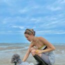 HEEJOO.COM 이미지