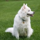 스마트폰 카메라 200 활용 | 스마트폰 카메라 기능 200% 활용하는 촬영 꿀팁 대공개!