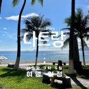 [나트랑 3박5일 여행 일정] 나트랑 시내 가는법/ 환전/ 하이카쌀국수/ 올라카페/ JW기프트/ 미우미우...