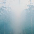 일광바이오 이미지