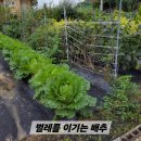 성한농장 이미지