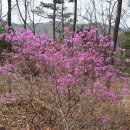 남문5길 이미지