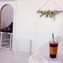 늘봄펫살롱 이미지