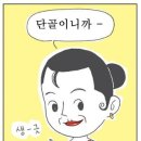 윈윈코리아 이미지