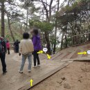 몰운대유원지약수터 이미지