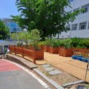 봉암초등학교 이미지