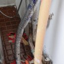 두보(하이츠)빌라 이미지