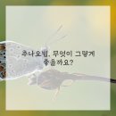 신세계한방병원 이미지