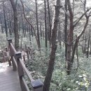 문수산 산림욕장 이미지