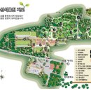 포항시 기청산식물원 (2/2) 이미지