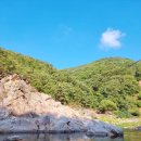 왕피천 숲속 캠핑장 | 경북 울진 숲속 힐링 캠핑장 – 왕피천숲속캠핑장