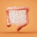 위담한방병원 이미지