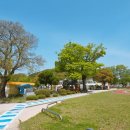 장성성산초등학교 이미지