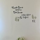 내몸애호