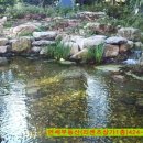 더 리센츠 이미지