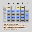 팀다이노주짓수체육관