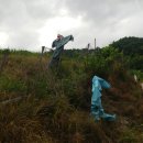 선기농장 이미지