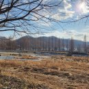 갈대숲작은도서관 이미지