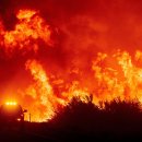 (주)라센 이미지