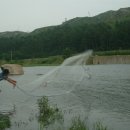 그물과물고기 이미지