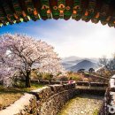 금성정비 이미지