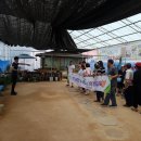 김영춘농장 이미지