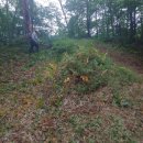 2022-08-27<b>합동</b>벌초