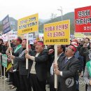 신월천 이미지