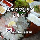 회가 | 속초 회포장 맛집 중앙시장 가성비 횟집 회가 추천 후기