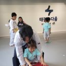 태권도 다움 이미지