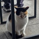 태종대 | 부산 영도구 동삼동 (태종대) 산책 후기