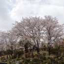 버들농원 이미지