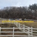 양아목장 이미지