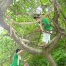 태백초등학교 이미지