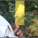 백운산갈비 이미지