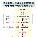 싱글벙글약국 이미지