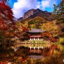 백양사 쌍계루 이미지