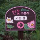 문화소류지 네이버블로그