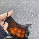 하하세탁소 이미지