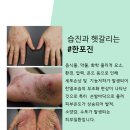 대한한의원 이미지