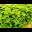 원평농장 이미지