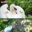 고니농장 이미지