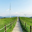 들판의추억목장 이미지