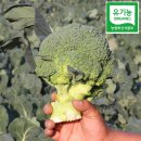 신신마트 이미지