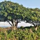 예당한의원 이미지